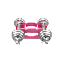 Fitness Dumbbell Storage Rack